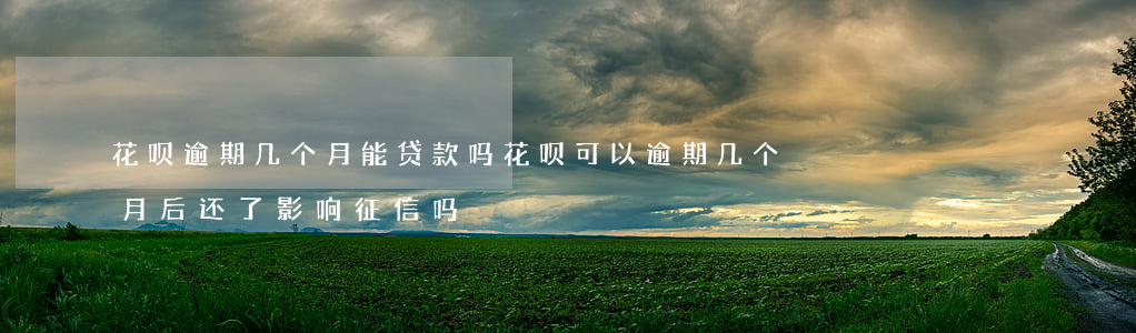 花呗逾期几个月能贷款吗(花呗可以逾期几个月后还了影响征信吗)