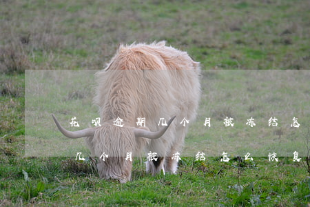 花呗逾期几个月被冻结怎么恢复-花呗逾期几个月被冻结怎么恢复正常