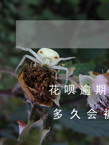 花呗逾期几个月说是起诉我是真的(花呗逾期多久会被起诉?花呗逾期被起诉)
