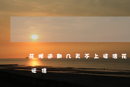 花呗逾期几天不上征信(花呗多少天不还会上征信)