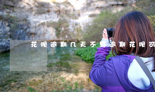 花呗逾期几天不算逾期(花呗可以逾多少期)