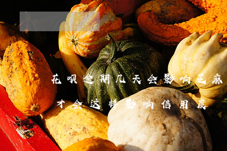 花呗逾期几天会影响芝麻(花呗欠款多长时间才会这样影响信用度)