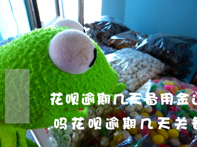 花呗逾期几天备用金还了以后还能继续使用吗（花呗逾期几天关备用金）