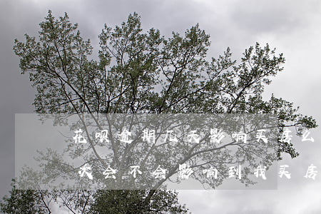 花呗逾期几天影响买房么(蚂蚁花呗逾期过几次会不会影响到我买房子)
