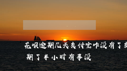 花呗逾期几天支付宝咋没有了 支付宝花呗逾期了半小时有事没