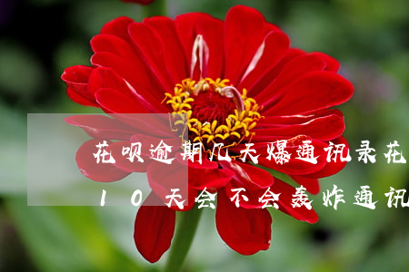 花呗逾期几天爆通讯录(花呗欠300多逾期10天会不会轰炸通讯录)