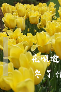 花呗逾期几年还可以用吗(因为花呗逾期了两年了什么时候可以)