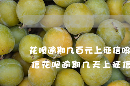 花呗逾期几百元上征信吗(花呗逾期多久上征信?花呗逾期几天上征信)