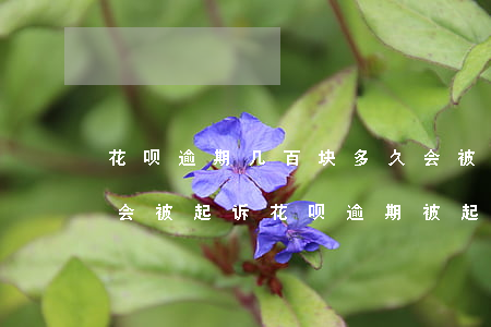 花呗逾期几百块多久会被起诉(花呗逾期多久会被起诉?花呗逾期被起诉)