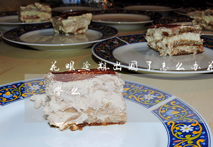 花呗逾期出国了怎么办(花呗没还完能出国留学么)