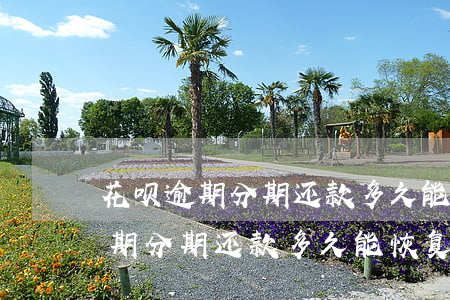 花呗逾期分期还款多久能恢复使用-花呗逾期分期还款多久能恢复使用额度