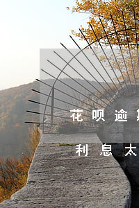花呗逾期利息一直加吗(花呗逾期久了想还款利息太多怎么办)