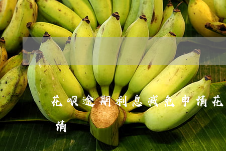 花呗逾期利息减免申请(花呗逾期利息减免申请)