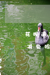 花呗逾期利息可以减免吗(花呗逾期利息可以减免吗)