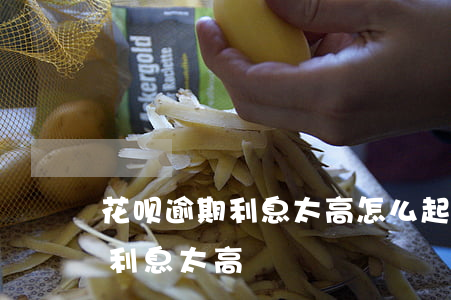 花呗逾期利息太高怎么起诉(支付宝花呗逾期利息太高)