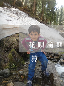 花呗逾期利息怎么算法(花呗超期利息是怎么算)