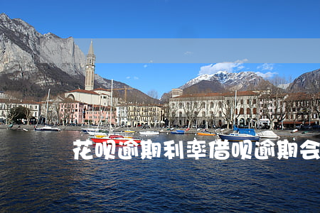 花呗逾期利率(借呗逾期会怎么算利息)