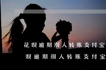 花呗逾期别人转账支付宝会强行扣款吗-花呗逾期别人转账支付宝会强行扣款吗安全吗