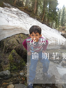 花呗逾期别人转账支付宝会强行扣款吗（花呗逾期转账被秒扣）
