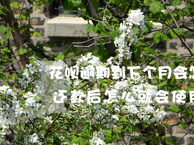 花呗逾期到下个月会怎样(花呗逾期了半个月还款后怎么就会使用了)
