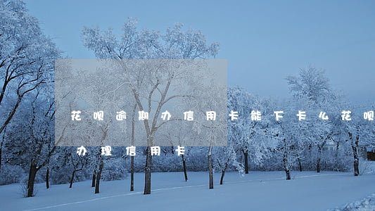 花呗逾期办信用卡能下卡么(花呗逾期能不能办理信用卡)