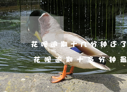 花呗逾期十几分钟还了之后能立刻使用吗-花呗逾期十多分钟最底还款有影响吗