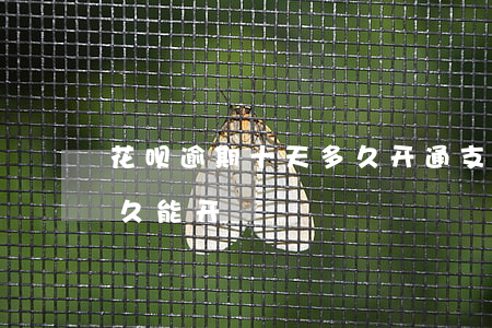 花呗逾期十天多久开通(支付宝花呗逾期了多久能开)