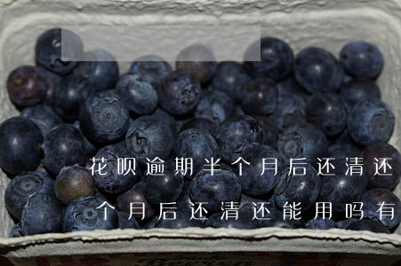 花呗逾期半个月后还清还能用吗(花呗逾期半个月后还清还能用吗有影响吗)