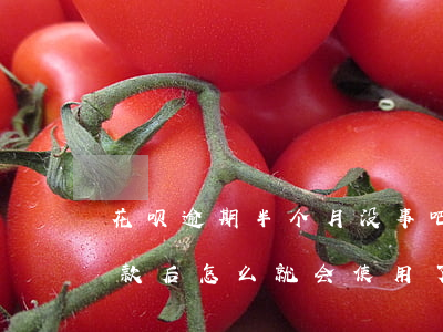 花呗逾期半个月没事吧(花呗逾期了半个月还款后怎么就会使用了)
