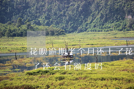 花呗逾期半个月还上了(花呗逾期好久了,还完了还会有额度吗)
