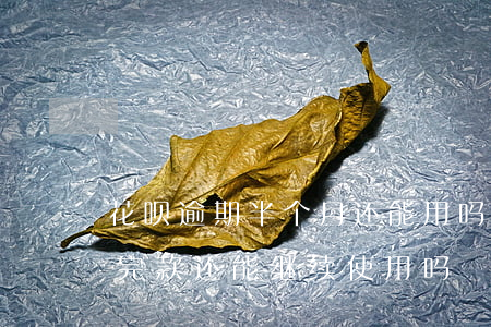 花呗逾期半个月还能用吗(花呗逾期半个月还完款还能继续使用吗)