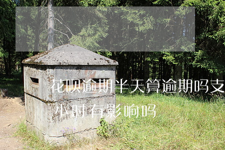 花呗逾期半天算逾期吗(支付宝花呗逾期半个小时有影响吗)