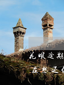 花呗逾期半年一直失联(逾期花呗被暂停了现在想还但还不了)