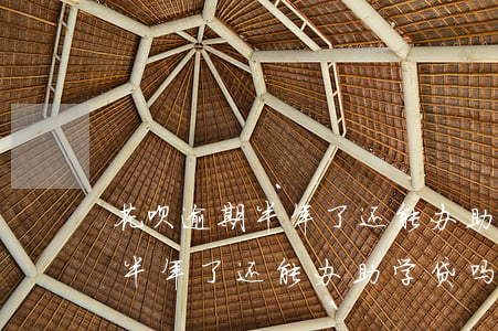 花呗逾期半年了还能办助学贷吗-花呗逾期半年了还能办助学贷吗知乎