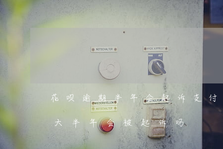 花呗逾期半年会起诉?(支付宝花呗借呗逾期了大半年会被起诉吗)