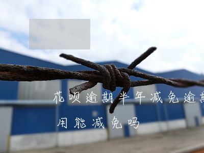 花呗逾期半年减免逾期费(支付宝花呗逾期费用能减免吗)