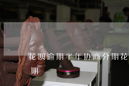 花呗逾期半年协商分期(花呗逾期半年协商分期)
