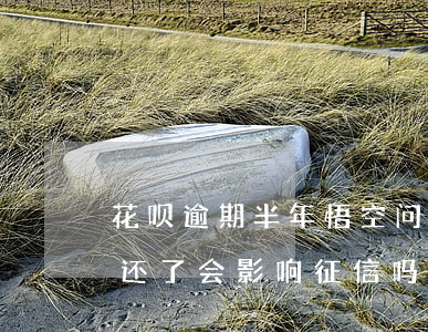 花呗逾期半年悟空问答(花呗逾期了几天,现在还了,会影响征信吗)