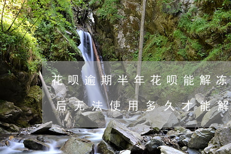 花呗逾期半年花呗能解冻(花呗逾期半年还款后无法使用多久才能解冻)