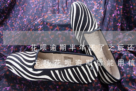 花呗逾期半年还了之后还了之后可以办信用卡吗（花呗逾期后能用信用卡还吗）