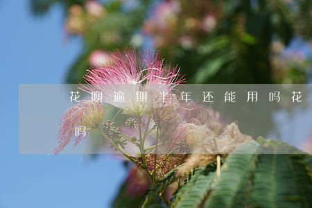 花呗逾期半年还能用吗(花呗逾期半年还能用吗)