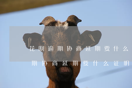 花呗逾期协商延期要什么证明材料-花呗逾期协商延期要什么证明材料呢