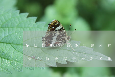 花呗逾期协商还款是还对公账户吗-花呗逾期协商还款是还对公账户吗安全吗