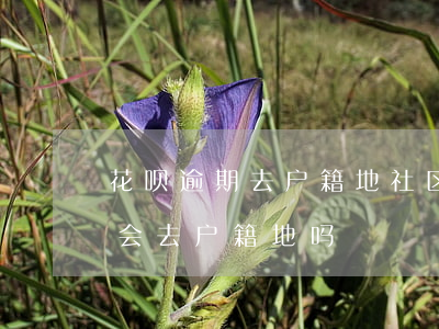 花呗逾期去户籍地社区(支付宝花呗逾期真的会去户籍地吗)