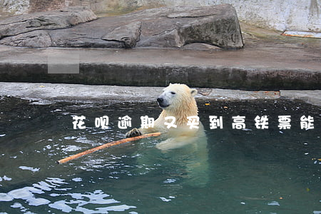 花呗逾期又买到高铁票能乘坐吗-