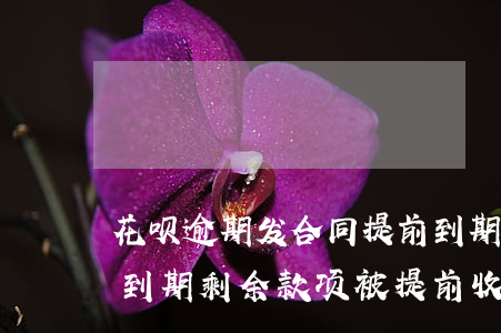 花呗逾期发合同提前到期(合同违约花呗提前到期,剩余款项被提前收回)