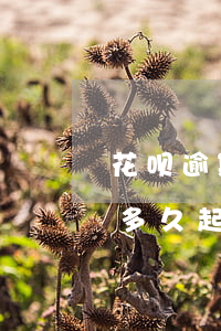 花呗逾期发律师函没有律所盖章(花呗律师函多久起诉)