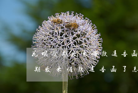 花呗逾期发来催款通告函了怎么办-花呗逾期发来催款通告函了怎么办呢