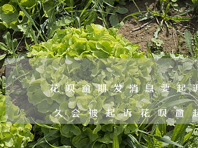 花呗逾期发消息要起诉是真的吗(花呗逾期多久会被起诉?花呗逾起诉)