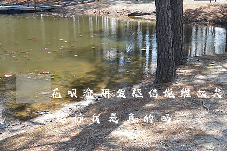 花呗逾期发短信说维权(欠了花呗发信息说要起诉我,是真的吗?)